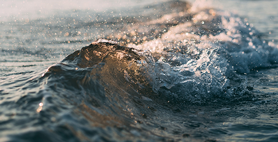 6 sencillos tips para cuidar el medio ambiente en tus vacaciones